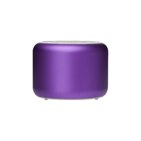 Фото товара Беспроводная колонка Пэшн (Passion) 80dB 600 mAh (Bluetooth 5.4), фиолетовая