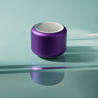 Фото товара Беспроводная колонка Пэшн (Passion) 80dB 600 mAh (Bluetooth 5.4), фиолетовая
