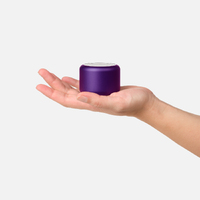 Фото товара Беспроводная колонка Пэшн (Passion) 80dB 600 mAh (Bluetooth 5.4), фиолетовая