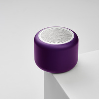 Фото товара Беспроводная колонка Пэшн (Passion) 80dB 600 mAh (Bluetooth 5.4), фиолетовая