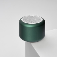 Фото товара Беспроводная колонка Пэшн (Passion) 80dB 600 mAh (Bluetooth 5.4), зеленая
