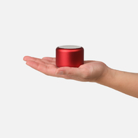 Фото товара Беспроводная колонка Пэшн (Passion) 80dB 600 mAh (Bluetooth 5.4), красная