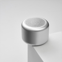 Фото товара Беспроводная колонка Пэшн (Passion) 80dB 600 mAh (Bluetooth 5.4), серебряная