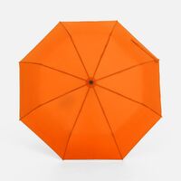 Фото товара Зонт складной Monsoon, оранжевый