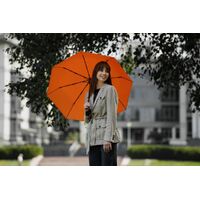 Фото товара Зонт складной Monsoon, оранжевый