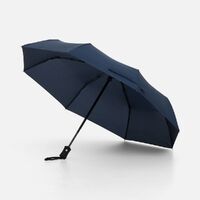 Фото товара Зонт складной Monsoon, темно-синий