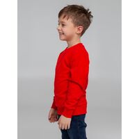 Фото товара Свитшот Toima Kids 2.0, красный, 6 лет
