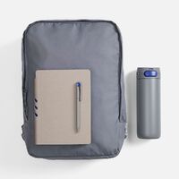 Фото товара Набор Flexpen Travel, серый с синим