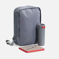 Фото товара Набор Flexpen Travel, серый с красным