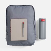 Фото товара Набор Flexpen Travel, серый с красным