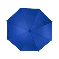 Фото товара Ibi зонт 27 дюймов - Ярко-синий